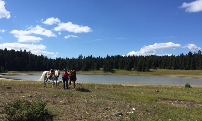 Tunkwa Lake Park/Leighton Lake campsites & trails