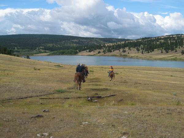 Churn Creek Protected Area/Empire Valley