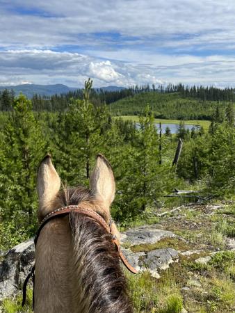 Fishtrap Campsite and Trails