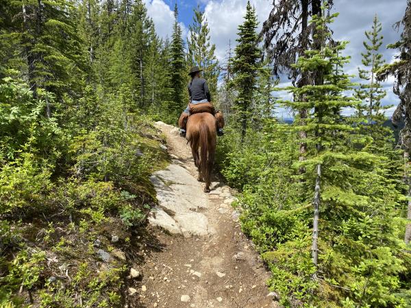 Rossland Range