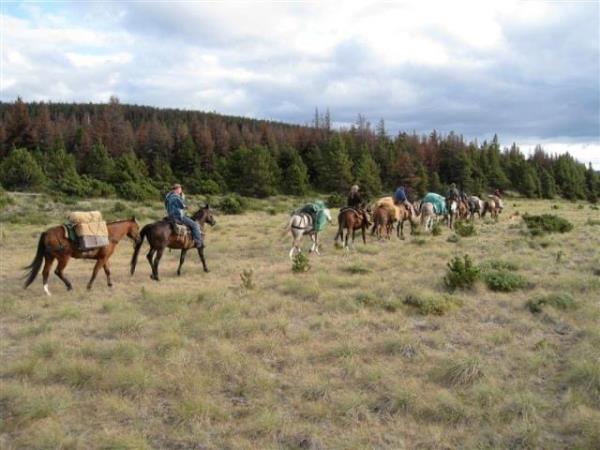 Itcha Ilgachuz Provincial Park