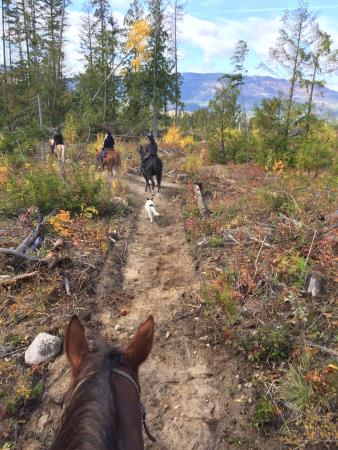 Skimikin Trails & Equine Campsite
