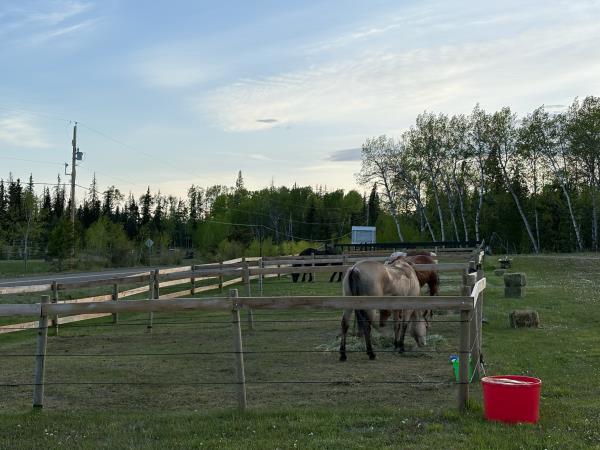 Little Horse Lodge