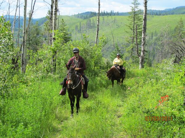 Seven Sisters Trail System