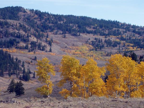 South Okanagan Grasslands Protected Area