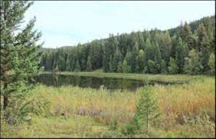 Orchard Lake Trails