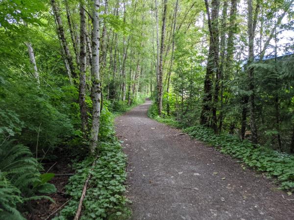 Loggers Creek Trail
