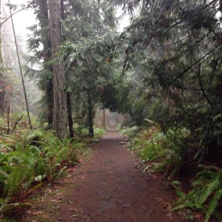 Hemer Provincial Park